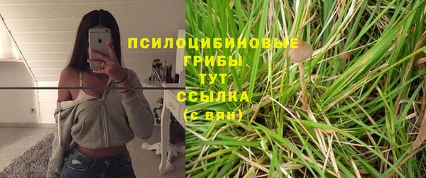 прущий лед Бронницы